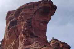 IMG_20230418_154705-.Medium