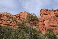 IMG_20230418_155757-.Medium