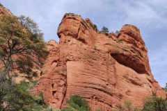 IMG_20230418_155805-.Medium