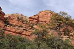 IMG_20230418_155807-.Medium