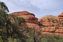 IMG_20230418_155809-.Medium