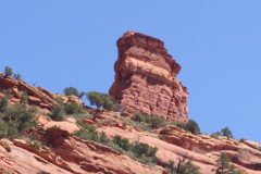 IMG_20230419_113509-.Medium