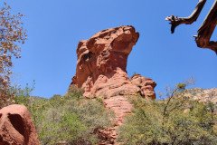 IMG_20230419_120023-.Medium