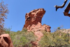 IMG_20230419_120024-.Medium