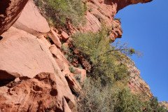 IMG_20230419_120028-.Medium