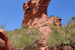 IMG_20230419_120032-.Medium