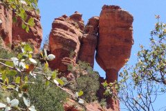 IMG_20230419_121050-.Medium