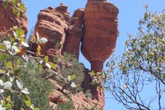 IMG_20230419_121054-.Medium