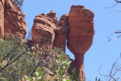 IMG_20230419_121134-.Medium