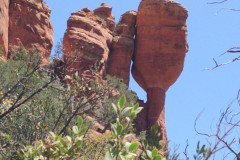 IMG_20230419_121135-.Medium