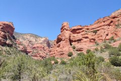 IMG_20230419_123111-.Medium