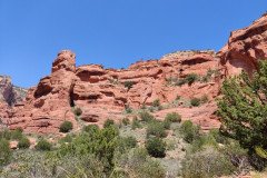 IMG_20230419_123116-.Medium
