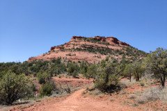 IMG_20230420_120531-.Medium