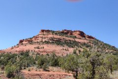 IMG_20230420_120551-.Medium