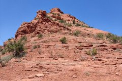 IMG_20230420_121801-.Medium