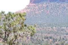 IMG_20230420_121807-.Medium