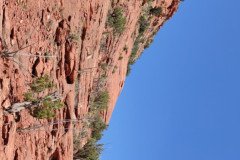 IMG_20230420_121948-.Medium