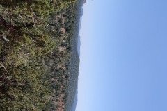 IMG_20230420_122531-.Medium