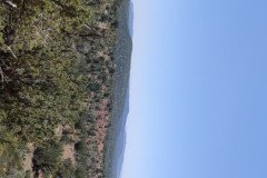 IMG_20230420_122532-.Medium