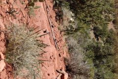 IMG_20230420_122551-.Medium