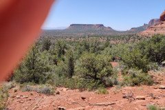 IMG_20230420_122654-.Medium