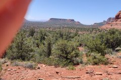 IMG_20230420_122655-.Medium