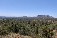 IMG_20230420_122710-.Medium