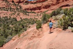 IMG_20230420_123128-.Medium