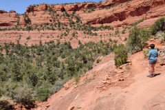 IMG_20230420_123133-.Medium