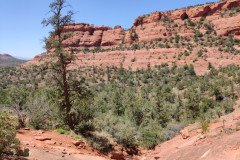 IMG_20230420_123135-.Medium