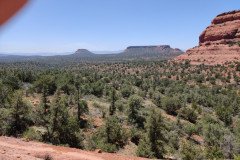 IMG_20230420_123620-.Medium