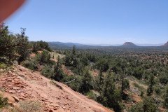 IMG_20230420_123624-.Medium