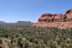 IMG_20230420_123626-.Medium