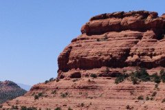 IMG_20230420_123640-.Medium