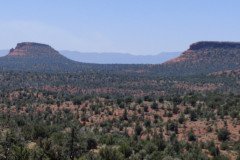 IMG_20230420_123654-.Medium