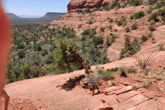 IMG_20230420_124235-.Medium