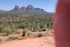 IMG_20230420_125822-.Medium