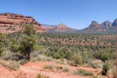 IMG_20230420_125824-.Medium