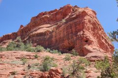 IMG_20230420_130404-.Medium