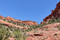 IMG_20230420_130408-.Medium