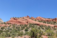 IMG_20230420_130409-.Medium