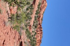 IMG_20230420_130422-.Medium