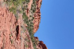 IMG_20230420_130422_1-.Medium