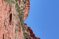 IMG_20230420_130423-.Medium