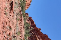 IMG_20230420_130423_1-.Medium