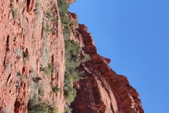 IMG_20230420_130424-.Medium