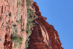 IMG_20230420_130424_1-.Medium