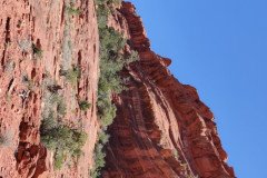 IMG_20230420_130425-.Medium