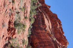 IMG_20230420_130425_1-.Medium