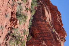 IMG_20230420_130425_2-.Medium